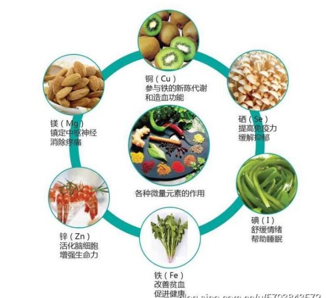 全自动91麻豆国产福利在线观看分析头发检测的结果