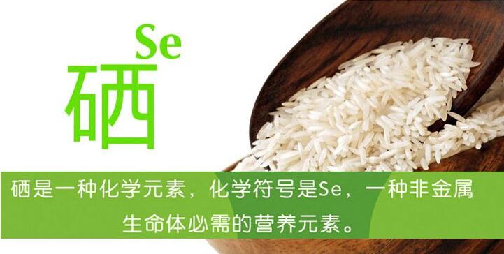 儿童麻豆视频在线网站谈硒的摄入含量