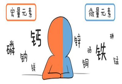 全自动91麻豆国产福利在线观看介绍缺少微量元素的危害