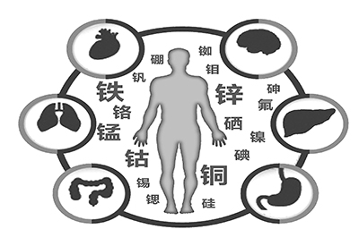 全自动91麻豆国产福利在线观看厂家介绍缺少微量元素的危害