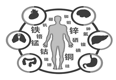 全自动麻豆视频在线网站厂家微量元素在人体中起到哪些作用