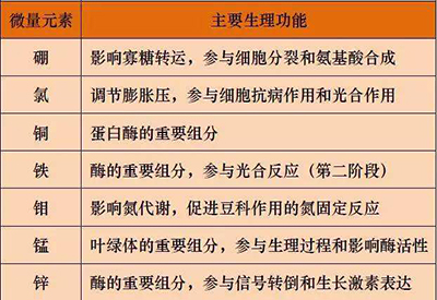 全自动麻豆视频在线网站厂家微量元素的对人体的生理作用