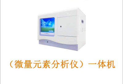 麻豆视频在线网站