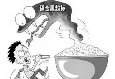 2020/1/4-全自动麻豆视频在线网站-国康-镉元素对人体的作用有哪些